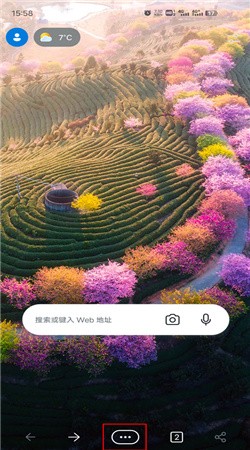 Edge浏览器中文