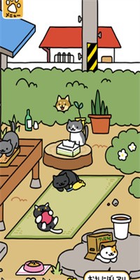 猫咪后院2官方下载