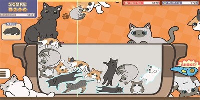 猫咪三重奏手机版下载