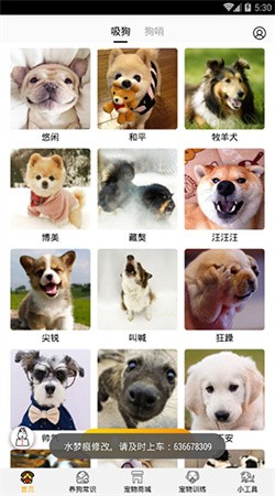 狗语翻译器正版下载