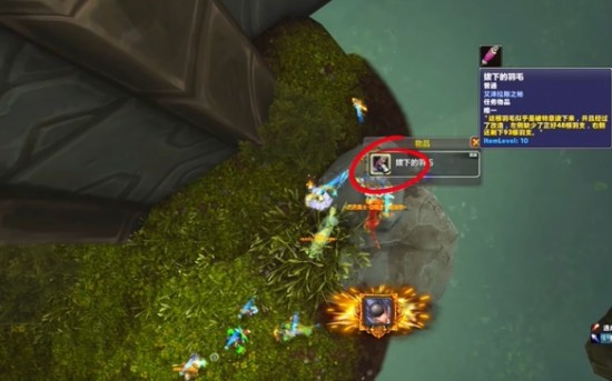 魔兽世界鸟之落羽任务怎么做？鸟之落羽任务流程详解