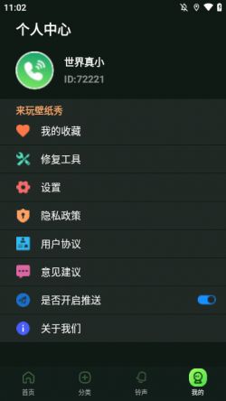 来玩壁纸秀绿色版下载