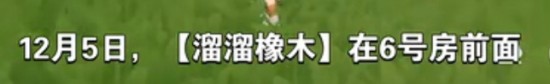 心动小镇最新溜溜木萤石位置及活动摘要