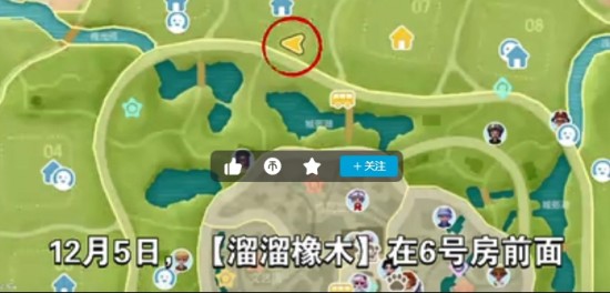 心动小镇最新溜溜木萤石位置及活动摘要