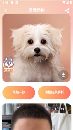 灵魂宠物动物系长相测试