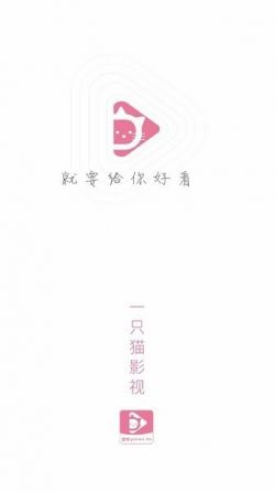 一只猫视频最新版本无广告