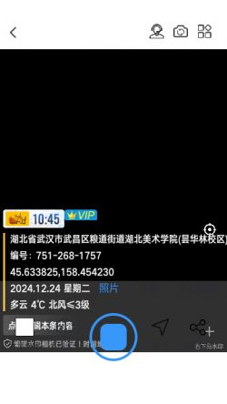 编辑水印打卡相机下载安卓版