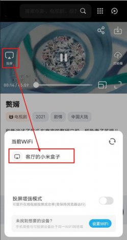 河狸影视官方正版