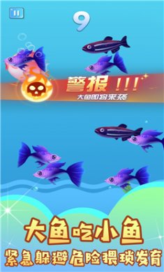 鱼吃鱼谁怕谁手游下载