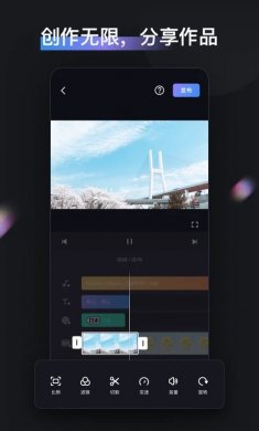 ZY Cami免费下载