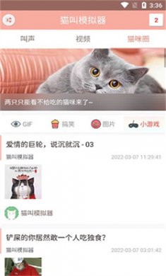 猫叫模拟器在线播放下载