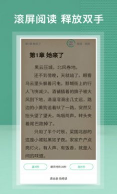 蜂毒免费小说2024最新版下载