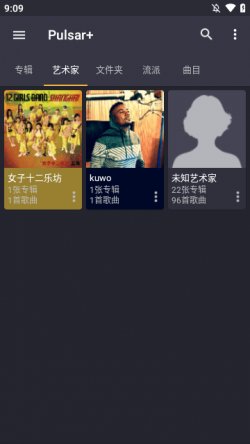 脉冲音乐播放器专业版