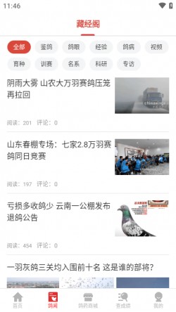 搜鸽天下app免费下载