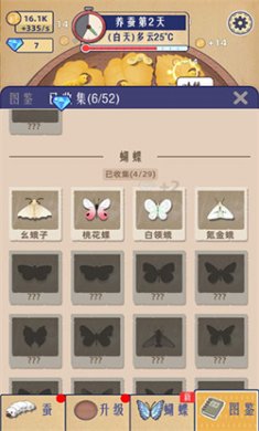 小小养蚕师不减反增下载