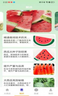 就要大西瓜最新版下载