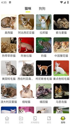 图灵扫描王app最新版本