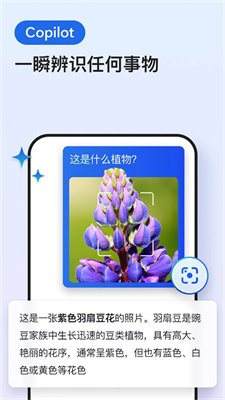 Edge浏览器官方正版下载