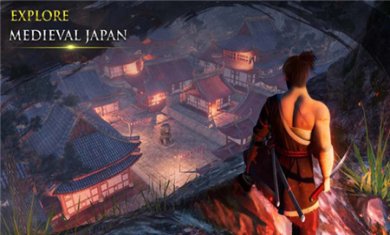 忍者武士隆汉化版下载