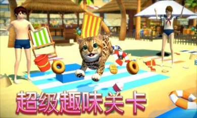 猫咪日常模拟小游戏下载