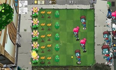植物进化战正版下载