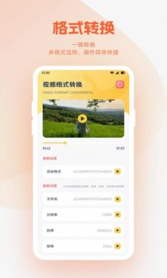 小柿子播放器官方版下载
