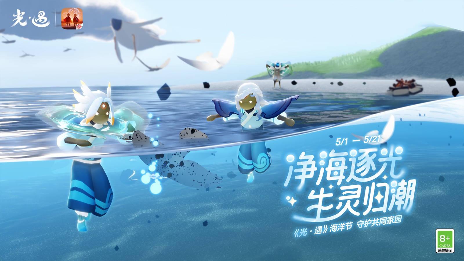 海洋节代币位置