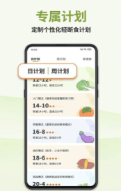 懒人轻断食中文版下载