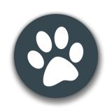 兽音译者在线翻译app下载