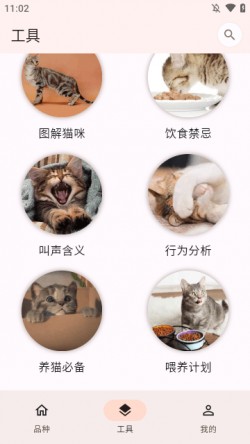 猫品种大全app下载安装最新版5