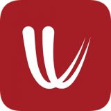 Windy官方正版下载