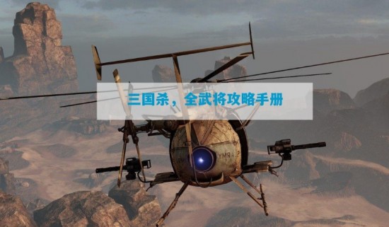 三国杀所有武将攻略 三国杀,全武将攻略手册