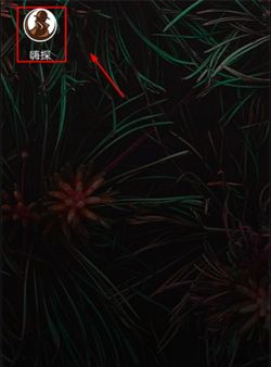 嗨探app手机版下载