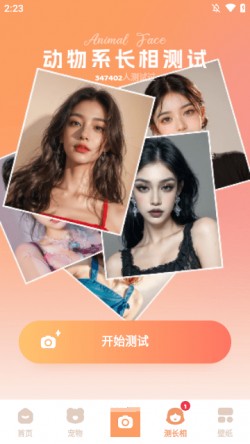 灵魂宠物动物系长相测试2