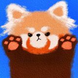 小熊猫4k影视纯净版