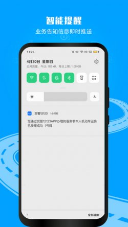 网上车管所2025官方下载4