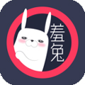 羞兔动态壁纸下载