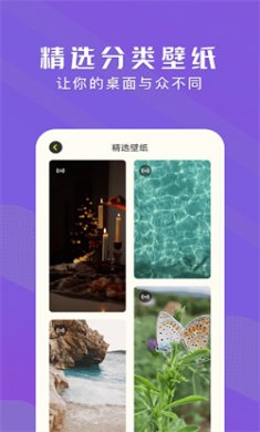 手机动态壁纸大全下载2