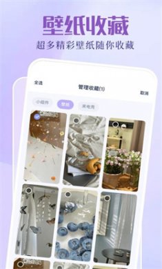 图拉丁壁纸软件免费下载2