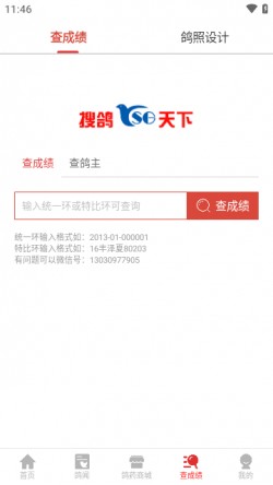 搜鸽天下app免费下载3