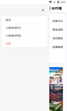 冰柠檬壁纸手机版下载1