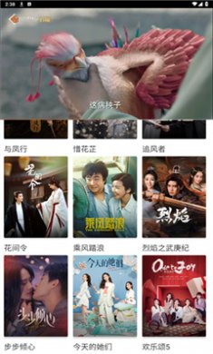 简映影视下载aqq3