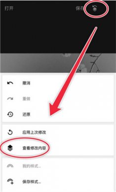 snapseed手机app安装下载2