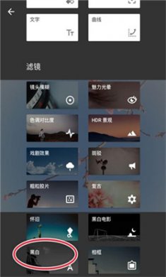 snapseed手机app安装下载3