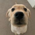 土狗影视app下载