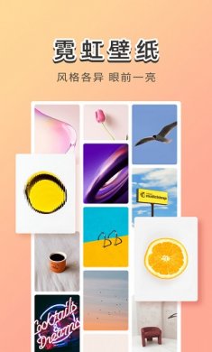 霓虹壁纸手机版下载2