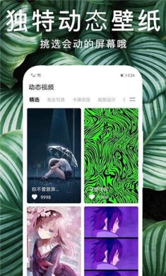 灵猫壁纸图库安卓版下载2