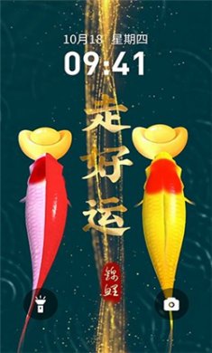 快闪壁纸去广告版下载2