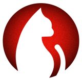 追剧猫免费下载软件无广告