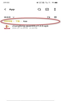 vivo浏览器下载1
